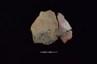 陶片藏品圖，第1張